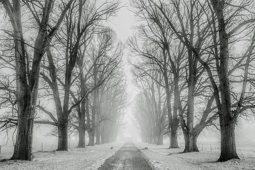 winter-1890653__340.jpg